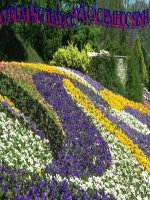 Thuc hanh ve thanh ngu dien co