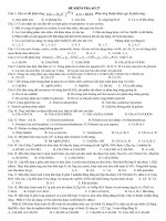 Đề thi thử thầy Hiền ĐHSP Huế 3