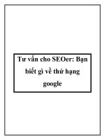 Tư vấn cho SEOer bạn biết gì về thứ hạng google 