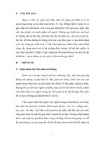 bài tập lớn lich sử VN 