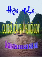 Hoi thi phu nu gioi 2008