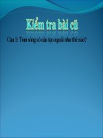 Bai 24-Da dang va vai tro giap xac