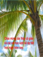 Luyện tập Tình theo CTHH