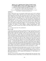 Vi khuẩn phát sáng trên Cá ngựa đen