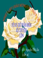 KCL4-doi canh of ngua trang