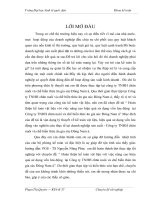 Hoàn thiện kế toán vật liệu với việc nâng cao hiệu quả sử dụng vốn lưu động  tại Công ty TNHH chăn nuôi và chế biến thức ăn gia súc Đông Nam á