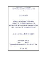Nghiên cứu khả năng nhân giống bằng vảy củ và ảnh hưởng của một số biện pháp kỹ thuật canh tác đến sinh trưởng phát triển của cây hoa lily SORBONNE 