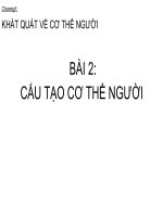 Bài 2: Cấu tạo cơ thể người