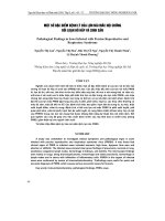 MộT Số ĐặC ĐIểM BệNH Lý CủA LợN NáI MắC HộI CHứNG RốI LOạN HÔ HấP Và SINH SảN