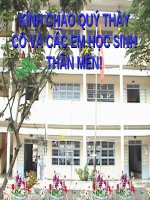 bài 36, tiết 47 (cb)