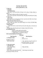 Giáo án : Người lính dũng cảm