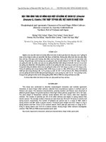 ĐặC TíNH HìNH THáI Và NÔNG HọC MộT Số GIốNG KÊ CHÂN VịT (Eleusine coracana (L.) Gaertn.) THU THậP Từ PHíA BắC VIệT NAM Và NHậT BảN