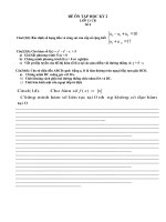 Đề ôn tập kỳ 2 lớp 11 CB( số 4)