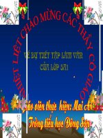 bài 29.luyện tập tả người( tả hoạt động