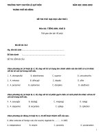 Đề thi thử Đại học lần I môn Tiếng  Anh khối D năm  học 2008-2009