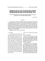 ảnh h-ởng của việc thay thế 50% gạo bằng bột ngô và ủ men đến khả năng sản xuất của lợn gột tại xã cát quế, hoài đức - hà tây