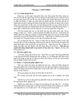 Thái độ của người tiêu dùng thành phố long xuyên về hạt nêm aji – ngon 