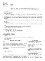 GIÁO ÁN ĐỊA 9 KÌ II(08-09)