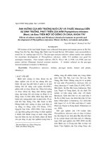 ảnh h-ởng của môi tr-ờng nuôi cấy và thuốc Metalaxyl đến sự sinh tr-ởng, phát triển của nấm Phytophthora infestans (Mont.) de Bary trên một số giống cà chua, khoai tây