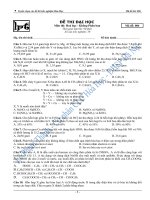 Đề ôn đặc biệt số 5