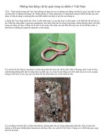 Những loài vật kì quái