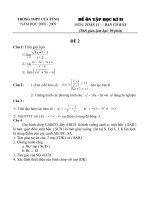 Đề ôn tập HKII 11 CB 2008-2009 (đề 2)