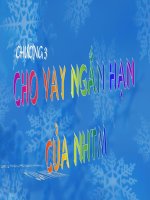 Nghiệp vụ cho vay  lý thuyết chương 3 