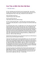 Thuyet minh con trau