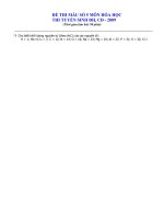 Đề thi thử ĐH mẫu số 5 (Bộ GD)