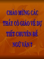 Chuyen de van 7 : Bieu cam