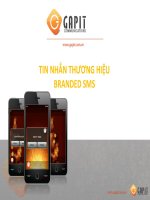 Brandname - SMS Marketing Thương hiệu