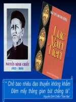 Tiết 41: Lục Vân Tiên gặp nạn - Nguyễn Hồng Lam