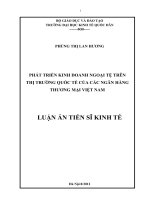 luận án tiến sĩ : Phát triển kinh doanh ngoại tệ trên thị trường quốc tế của các ngân hàng thương mại việt nam 