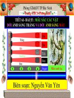 Tiết 61-Bài 55 Mầu sắc các vật dưới AS trắng và dưới AS mầu
