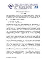 BÁO CÁO THƯỜNG NIÊN NĂM 2006 CÔNG TY CỔ PHẦN ĐẦU TƯ-THƯƠNG MẠI SMC