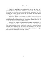 Phân tích tình hình tài chính của nhà máy thuốc lá Bắc Sơn