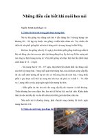 Những điều cần biết khi nuôi heo nái 