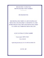 Luận văn sinh trưởng, phát triển của một số giống lily trong nhà lưới, nhà kính và ảnh hưởng của một số biện pháp kỹ thuật đến sinh 