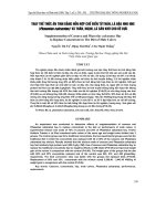 THAY THế THứC ĂN TINH BằNG HỗN HợP CHế BIếN Từ THÂN, Lá ĐậU NHo NHE (phaseolus calcaratus) Và THÂN, NGọN, Lá SắN KHÔ CHO BÊ đựC