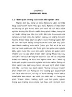 Một số giải pháp xoá đói giảm nghèo cho các hộ nông dân ở huyện pa thum phon tỉnh chăm pa sák 