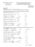 ĐỀ THI TUYỂN SINH CAO ĐẲNG NĂM 2010 Môn: TIẾNG TRUNG QUỐC; Khối D mã đề 483 