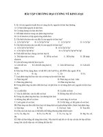 BÀI tập CHƯƠNG đại CƯƠNG về KIM LOẠI 