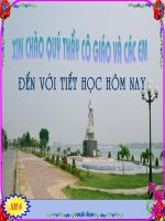 Tia phân giác của một góc