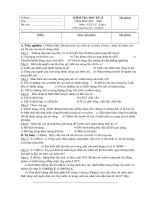 Thành phố Huế 07-08