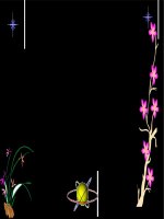 Địa lí 5: CHÂU MĨ