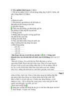 Đề thi học sinh giỏi lớp 7 2008 - 2009