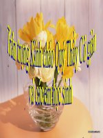 Chị em Thúy Kiều