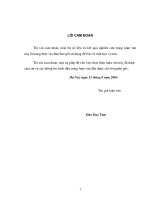 Thực trạng và giải pháp đẩy mạnh sản xuất va tiêu thụ rau an toàn trên địa bàn hà nội 