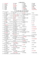 ÔN TẬP E 11 HKII - VOCAB, GRAM, PRON - ĐƠN GIẢN MÀ HIỆU QUẢ - TEST 2