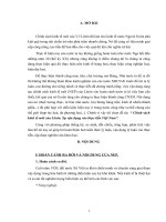 Chính sách kinh tế mới của Lênin. Sự vận dụng vào thực tiễn Việt Nam